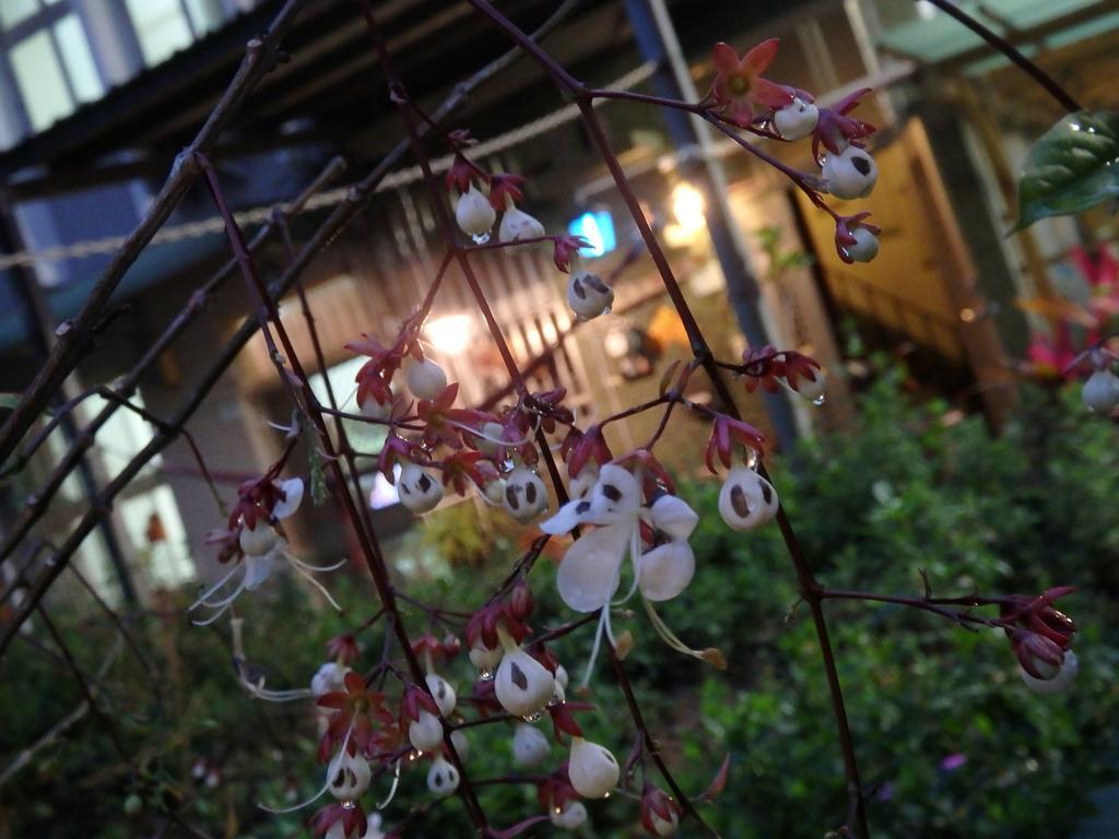 Tainan Guest House Hamuya Экстерьер фото
